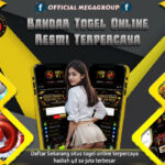 SHIOWLA: Daftar Bandar Toto Online Resmi & Situs Togel 88 Terpercaya